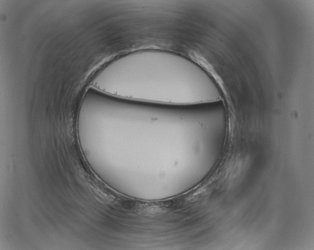 X0000063520249200601201440