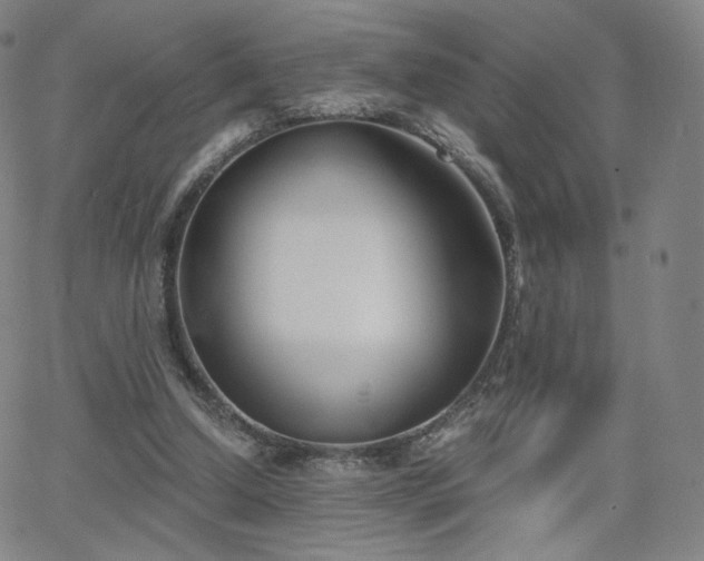 X0000063520250200601201440