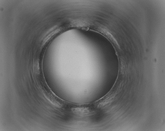 X0000063520251200601201440