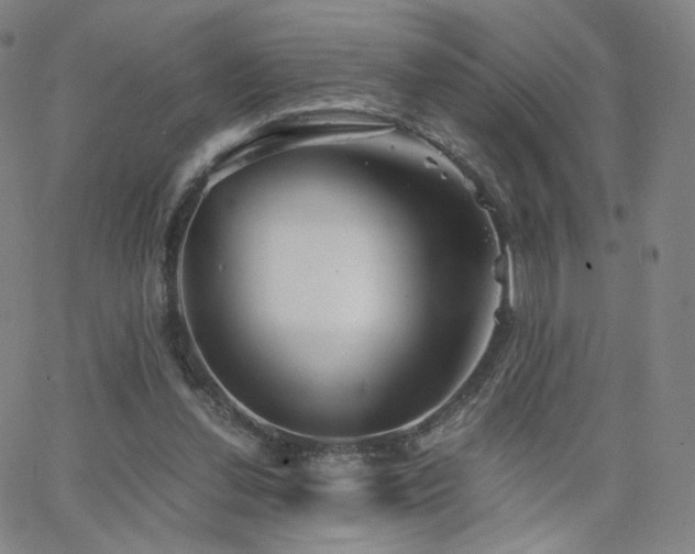 X0000063520252200601201440