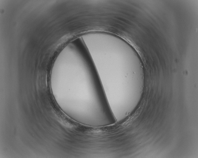 X0000063520253200601201440