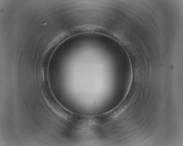 X0000063520254200601201440