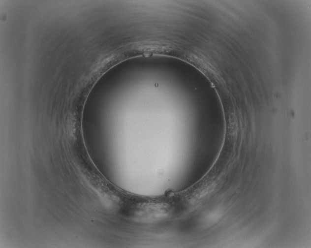 X0000063520255200601201440