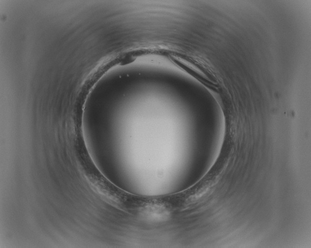 X0000063520256200601201440