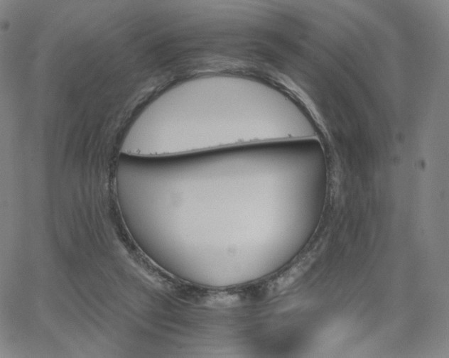 X0000063520257200601201440