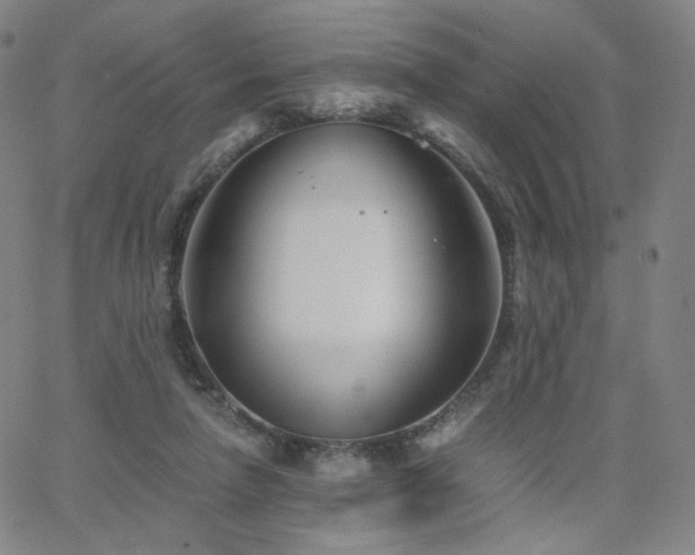 X0000063520258200601201440