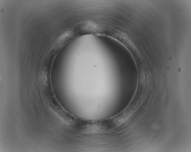 X0000063520259200601201440