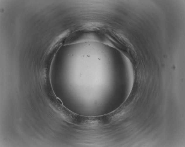 X0000063520260200601201440