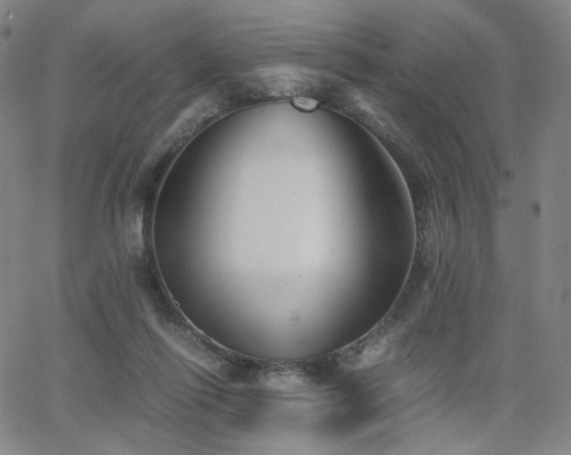 X0000063520262200601201440