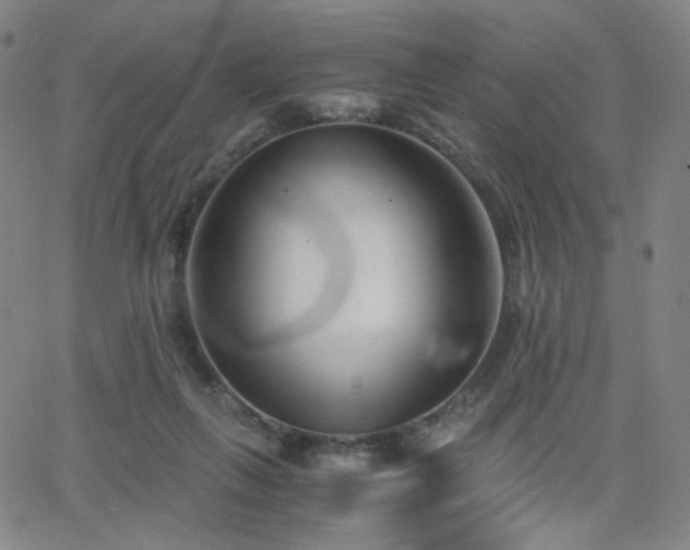 X0000063520263200601201440