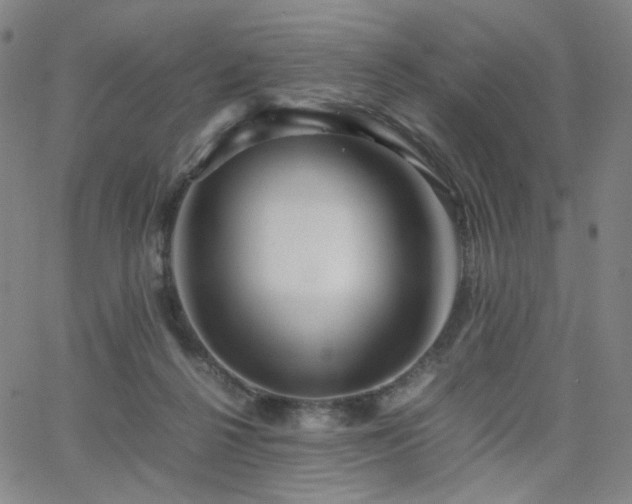 X0000063520264200601201440