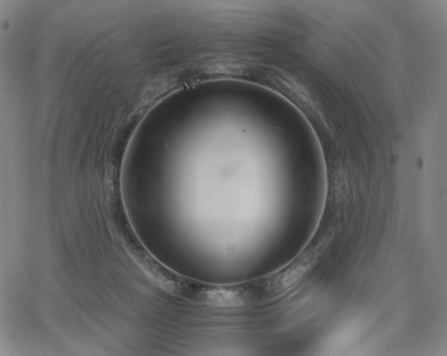 X0000063520265200601201440