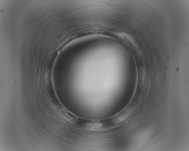 X0000063520266200601201440