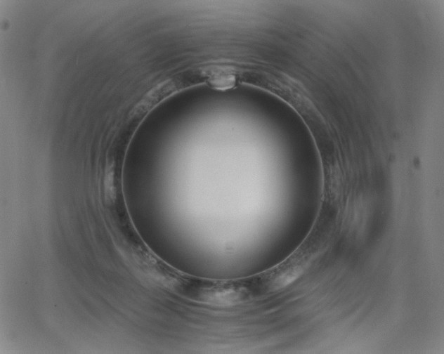 X0000063520267200601201440