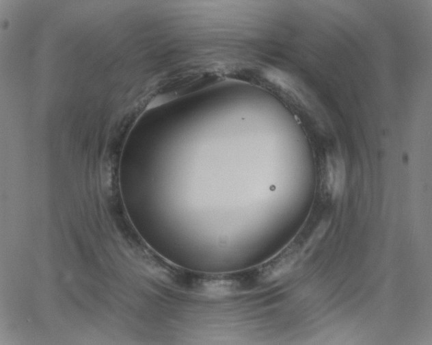 X0000063520268200601201440