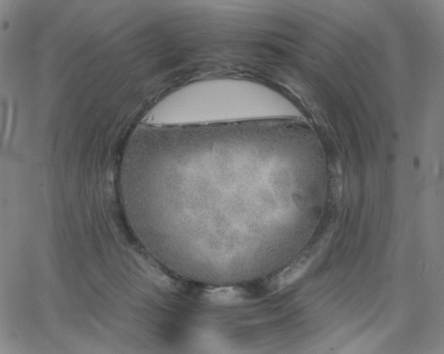 X0000063520269200601201440