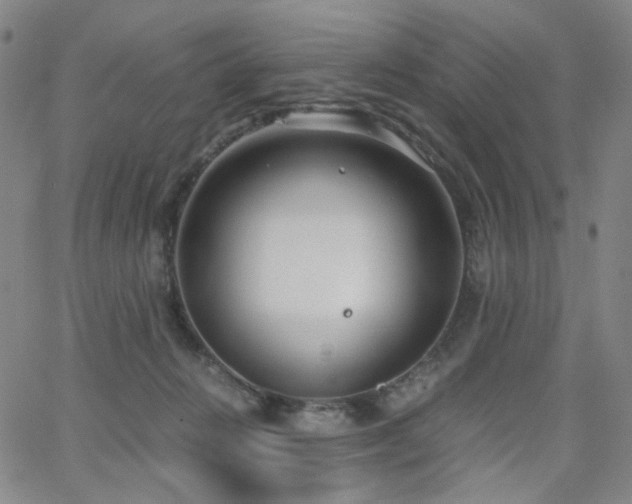 X0000063520270200601201440