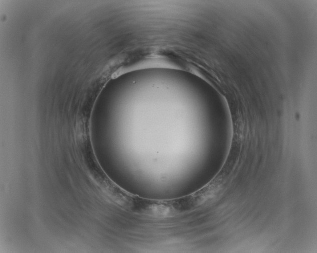 X0000063520272200601201440