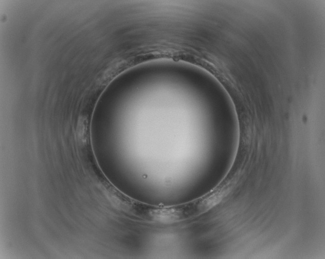 X0000063520273200601201440