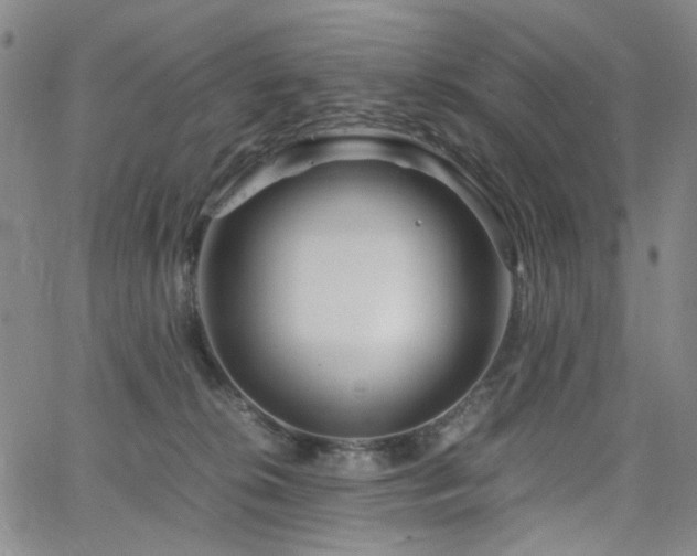 X0000063520276200601201440