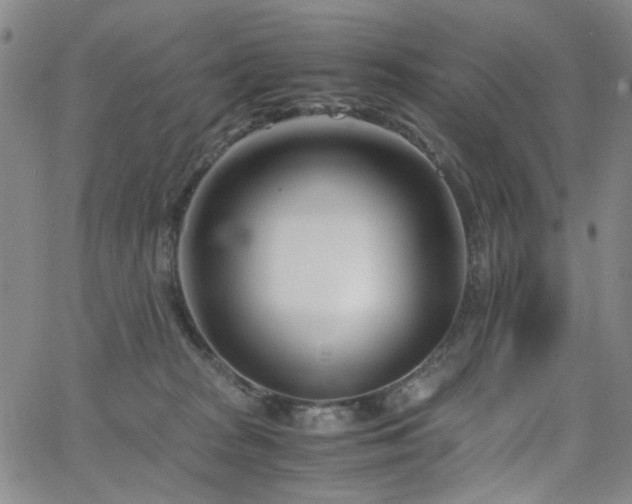 X0000063520277200601201440