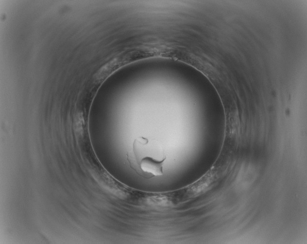 X0000063520279200601201440