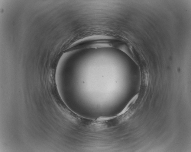 X0000063520280200601201440