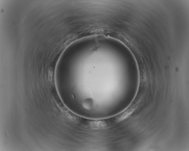 X0000063520281200601201441