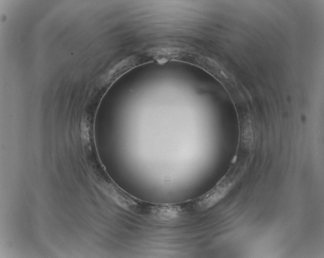 X0000063520282200601201441