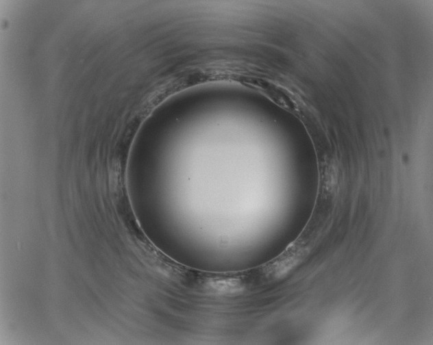 X0000063520283200601201441