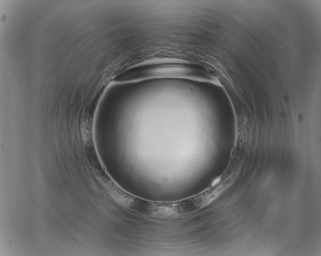 X0000063520285200601201441