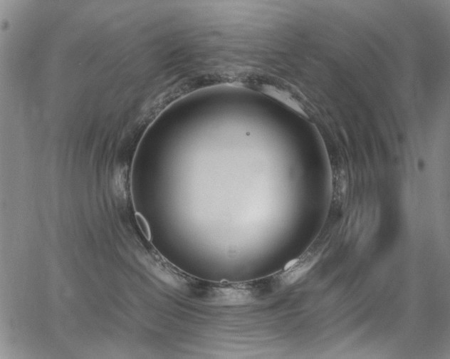 X0000063520286200601201441