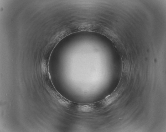 X0000063520287200601201441