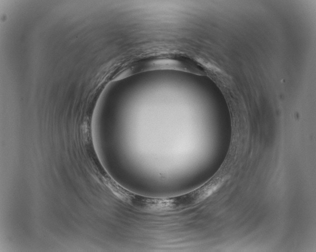 X0000063520288200601201441