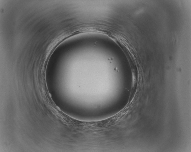 X0000063520289200601201440