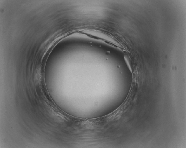 X0000063520290200601201440