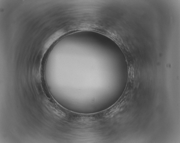 X0000063520292200601201440