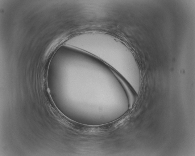 X0000063520293200601201440