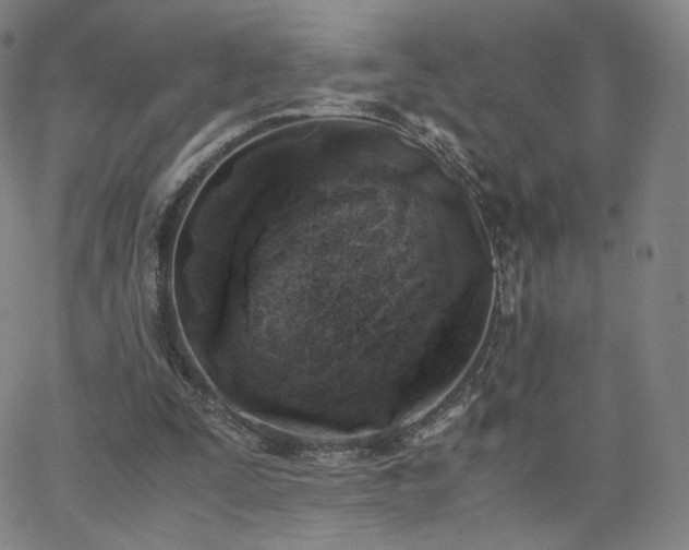 X0000063520295200601201440