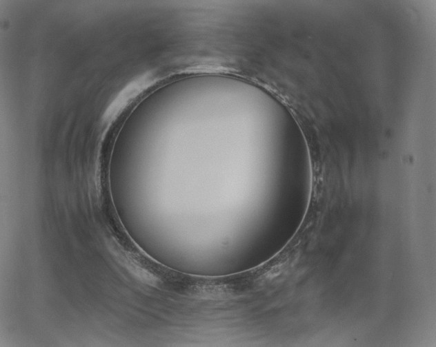 X0000063520296200601201440