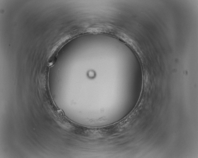 X0000063520297200601201440