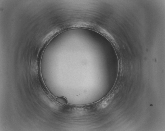 X0000063520298200601201440