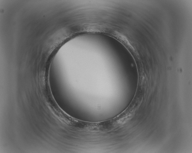 X0000063520299200601201440