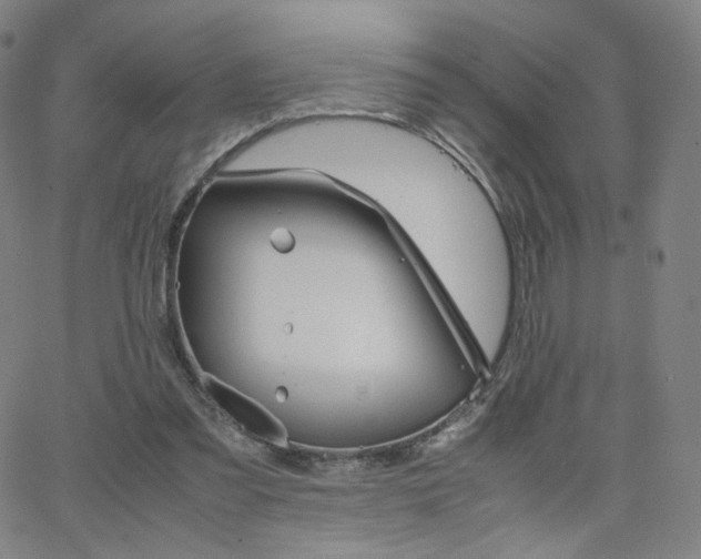 X0000063520301200601201440