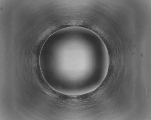 X0000063520303200601201440