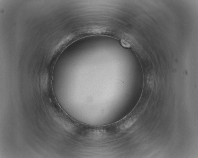 X0000063520304200601201440