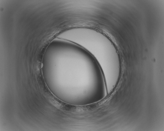 X0000063520305200601201440