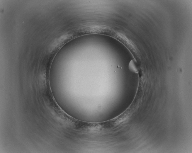 X0000063520306200601201440