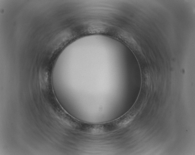 X0000063520308200601201440