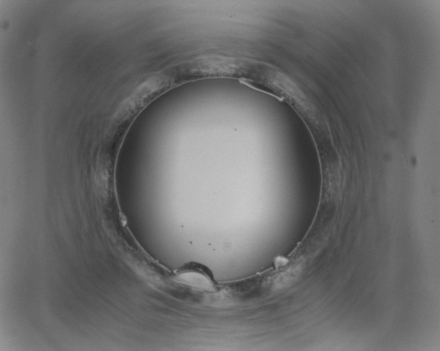 X0000063520309200601201440